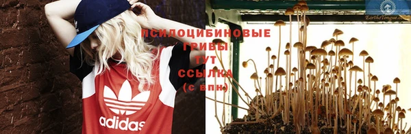 кокс Алексеевка