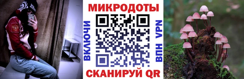 Псилоцибиновые грибы Psilocybe  где купить наркотик  Миасс 