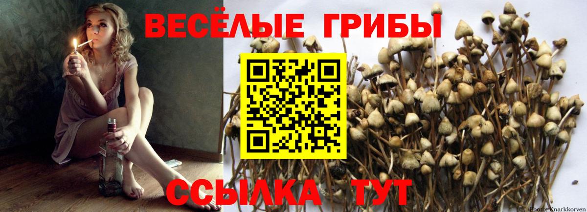 Псилоцибиновые грибы GOLDEN TEACHER Миасс